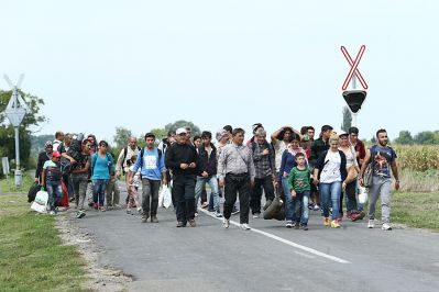 Auf der sogenannten Balkanroute sind die Menschen zu Fuß bis nach Mitteleuropa unterwegs. Hier nahe der Grenze zwischen Ungarn und Serbien.